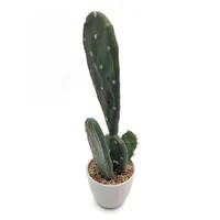 Decorativo Interno O Esterno Grande Artificiale In Vaso Piante di Cactus