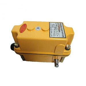 Hot Bán Tháp Cần Cẩu Dxz Hoist Giới Hạn Chuyển Đổi - Product Image 4