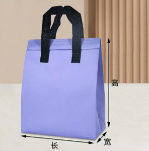 Non-Woven Colorful Takeaway Insulation Bag Insulated Cooler Bag Wine Cooler Bag Insulated Lunch Cooler Bag Portable Zipper - Product Image 5