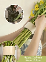 Spirale Ikebana tige titulaire Vase fleur Arrangement spirale tige support Vase fleur Arrangement Bouquet Floral arrangeur chambre décor