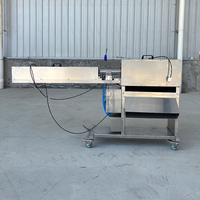 Efficiënte precisie automatische 304 roestvrijstalen radijs- en wortelschilmachine voor commerciële groente- en fruitverwerking