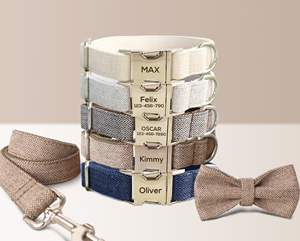 Luxurious Wedding <b>Dog</b> <b>Collar</b> <b>with</b> Personalized <b>Name</b>-Cream Grey White Brown Brown or Blue Detachable Bowtie - Product Image 1