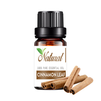 Parfum de maison 100% Pure Natural Cinnamon Leaf Sweet Orange Lemongrass Organic Aromatherapy Diffuseur d'huiles essentielles Set