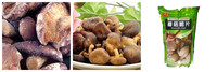 Champignons frais Meilleure qualité et prix Ligne de production de champignons en conserve