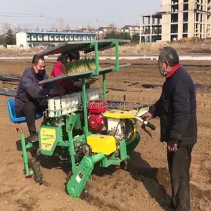 Kendinden tahrikli sebze Transplanter makinesi fide marul ekimi makineleri