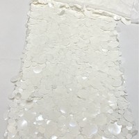Paillettes de différentes tailles et modèles, garnitures de vêtements en paillettes, paillettes décoratives avec tissu de base