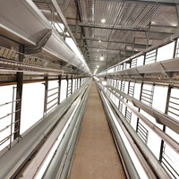 Nouvelles cages en maille d'acier galvanisé à chaud en forme de H pour l'élevage de volailles avec système entièrement automatique et durée de vie prolongée