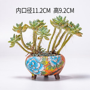 POT <span class=keywords><strong>de</strong></span> plantes succulentes peint à la main <span class=keywords><strong>de</strong></span> style coréen, pot <span class=keywords><strong>de</strong></span> fleurs en céramique <span class=keywords><strong>de</strong></span> grande <span class=keywords><strong>taille</strong></span> moyenne <span class=keywords><strong>petite</strong></span> pour <span class=keywords><strong>jardin</strong></span> hôtel bureau <span class=keywords><strong>bassin</strong></span> <span class=keywords><strong>de</strong></span> décoration <span class=keywords><strong>de</strong></span> bureau - Product Image 4
