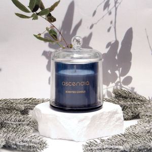 Bougie parfumée Ascendia en verre, cire de soja, aromathérapie, décoration minimaliste pour la maison, parfum floral végétal, durée de combustion de 40 à 60 heures - Product Image 3