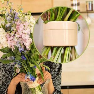 Soporte en Espiral para Tallos de Ikebana, para Diseño Floral Fresco y Seco, para Jarrones de Vidrio, Macetas de Cerámica, Arte Floral, Decoración de Plantas - Product Image 4