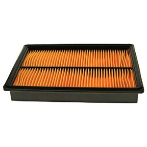 Filtro Aria Compatibile per Motori Honda GX610-620-670, Dimensioni Metriche 170x222x32 300013, Essenziale per Motori Industriali - Product Image 1