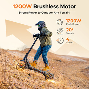 Monopattino Elettrico Engwe Y700 per Uso Urbano e Fuoristrada, 3 Livelli di Regolazione, 28nm di Trazione, Batteria 18ah, 25km/h, Impermeabile IPX5, Pieghevole - Product Image 2