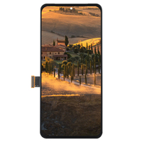 Écrans LCD d'origine pour téléphones mobiles Google Pixel 8 Pro XL, remplacement d'écran de téléphone portable, écran OLED avec cadre