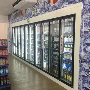 Abd Chiller cam kapi fabrikasında marketten bira mağarası için cam kapi s ile soğuk odada yürümek