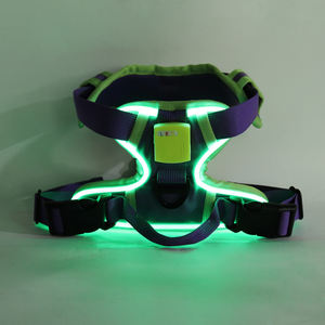 Arnés de Gato Personalizado que Brilla en la Oscuridad, Chaleco Ajustable en Forma de H con Correa para Perros Pequeños y Gatitos, Suministros para Mascotas con Etiqueta Privada OEM - Product Image 2