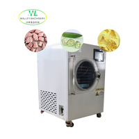 Chinese fabrikant levert 1,3 kW roestvrijstalen commerciële voedseldroogmachine voor groente- en fruitfabrieken, inclusief after-sales ondersteuning.