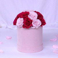 Offre Spéciale : Boîte Dôme Champignon de Luxe avec Roses Éternelles Roses et Rouges Faites à la Main pour Noël, la Fête des Mères, la Saint-Valentin et les Remises de Diplômes