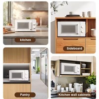 Four à micro-ondes à convection électrique avec minuterie mécanique, boîtier en plastique, design de comptoir, capacité de 20 L, quartz, usage domestique