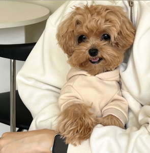 Yavru Pet giyim sevimli spor köpek Hoodie köpek kostümleri T-Shirt ceket - Product Image 2