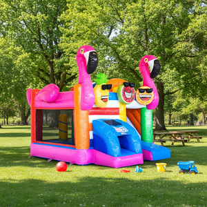 Château gonflable pour enfants avec toboggan et aire de saut - Product Image 1