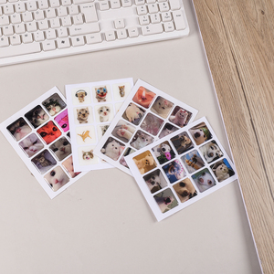 Paquete de Pegatinas de <span class=keywords><strong>Gatos</strong></span> y Perros con <span class=keywords><strong>Memes</strong></span> Lindos, Calcomanías de PVC Impermeables para Diario, Agenda, Álbum de Recortes, Laptop, Botella de Agua, Decoración - Product Image 3