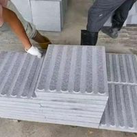 Dalles de pavage tactiles en granit durables et écologiques, directement de l'usine, pour trottoirs modernes sans obstacle et parcs extérieurs