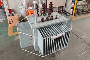 Transformateur de distribution d'énergie triphasé immergé dans l'huile 220V/380V/400V standard IEC personnalisé transformateur 15-2500kVA MV & HV - Product Image 3