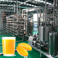 10 T/h Mango Pulp Productielijn Mango Pulp Verwerkingsmachine Mango Puree Sap Productielijn