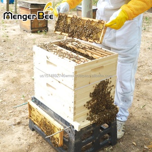Nouvelle ruche à abeilles MengerBee en bois de sapin, 2 couches, polie, Langstroth, 10 cadres, non assemblée, équipement d'apiculture, garantie 1 an - Product Image 4