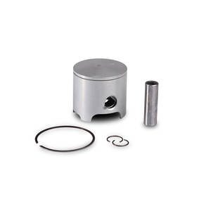 Pistón 2T Ø 50 tamaño 0 con pasador Ø 12 y 1 anillo rectangular cromado tamaño CC - Product Image 1