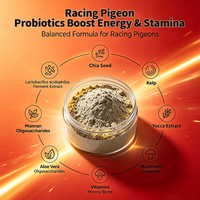 Supplément pour pigeons de course pour une puissance explosive, une endurance accrue, une récupération post-course, un soutien cardiovasculaire, des acides aminés essentiels, 1000g