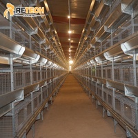Cage de poulettes en batterie de type H pour poussins d'un jour, poulets de chair et poulets de chair en couche, avec couveuse automatique