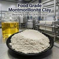 Bentonite activée par l'acide à forte puissance de décoloration pour le blanchiment des huiles de palme et de noix de coco