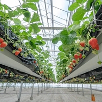 Grande serre agricole multi-chapelles en verre de type Venlo pour pépinière de fleurs avec système de contrôle climatique