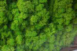 HFlora Factory Direct Online Shopping Diwali Decoration Red Irish Preserved <strong>Moss</strong> Pure Natural Softness Enternal <strong>Moss</strong> - Product Image 4