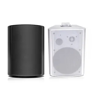 Draadloze Wifi Bt5.0 Lan Aux Ingang Multi-Room Muur Gemonteerde Passieve Actieve Luidsprekers Voor Home Theater Audio Geluidssysteem