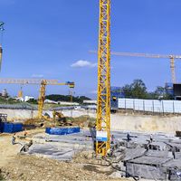 Grúa Torre Plana Autoelevable DAHAN Qtz160-7013-10T Personalizable de 10 Toneladas de Alta Eficiencia con Motor y Altura de Elevación de 200m