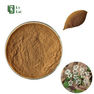 Extracto de Pimpinella <span class=keywords><strong>Anisum</strong></span> en Polvo de Alta Calidad 10:1, Extracto de Pimpinella <span class=keywords><strong>Anisum</strong></span> en Polvo Soluble en Agua, Grado Alimenticio - Product Image 1