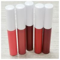 Paillettes repulpantes végétaliennes imperméables à l'eau personnalisées en gros Lip Plumper Glossy Vendor Lipgloss Brillant à lèvres de marque privée