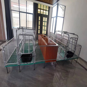 Thùng đẻ kép cho lợn nái. Chi phí thấp và chất lượng cao, thích hợp cho các trang trại lợn. - Product Image 6
