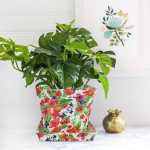 Macetas <span class=keywords><strong>de</strong></span> plástico decorativas modernas, <span class=keywords><strong>maceta</strong></span> <span class=keywords><strong>de</strong></span> flores impresa, contenedor <span class=keywords><strong>de</strong></span> paleta para interior/exterior para habitación, balcón - Product Image 5
