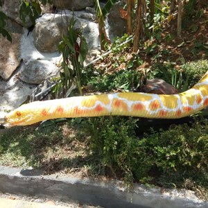 Động Vật Cử Động Được Mô Hình Kích Thước Cuộc Sống Động Vật Rắn Để Bán - Product Image 2