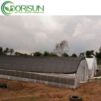 Serre en plastique économique de 30 x 10 m à vendre, taille personnalisée, serre agricole