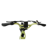 Sepeda Pantai All Terrain 750W, Super 20 Inci Salju Ebike Retro 73 Enduro Ebike