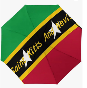Parapluie drapeau du <span class=keywords><strong>Panama</strong></span>, parapluie automatique imperméable pour l'extérieur, avec bouton d'ouverture et de fermeture automatiques, revêtement anti-UV - Product Image 6