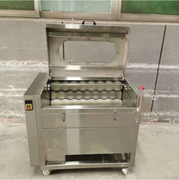 Shouchuang Goedkope Prijs Commerciële Automatische Aardnoot Rode Huid Dunschiller Droge Pinda Schilmachine