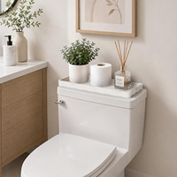 Meilleure vente transfrontalière : Plateau de rangement rectangulaire moderne et minimaliste multifonctionnel pour salle de bain, plat décoratif simple pour bibelots