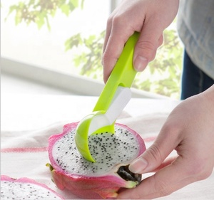 Prezzo competitivo di plastica del gelato di frutta cucchiaio scoop - Product Image 6