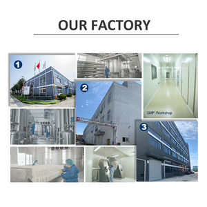 N-אצטיל גלוקוזאמין יצרן סיטונאי גדול n-אצטיל-d-גלוקוזאמין קוסמטי כיתה n אצטיל גלוקוזאמין אבקת - Product Image 6