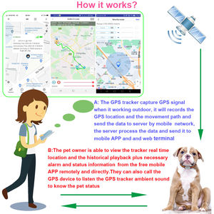 Meilleur <span class=keywords><strong>prix</strong></span> G61 étanche 4G <span class=keywords><strong>GPS</strong></span> tracker <span class=keywords><strong>pour</strong></span> animaux de compagnie <span class=keywords><strong>chien</strong></span> chat APP surveillance de l'activité à distance Anti-perte suivi en temps réel - Product Image 6